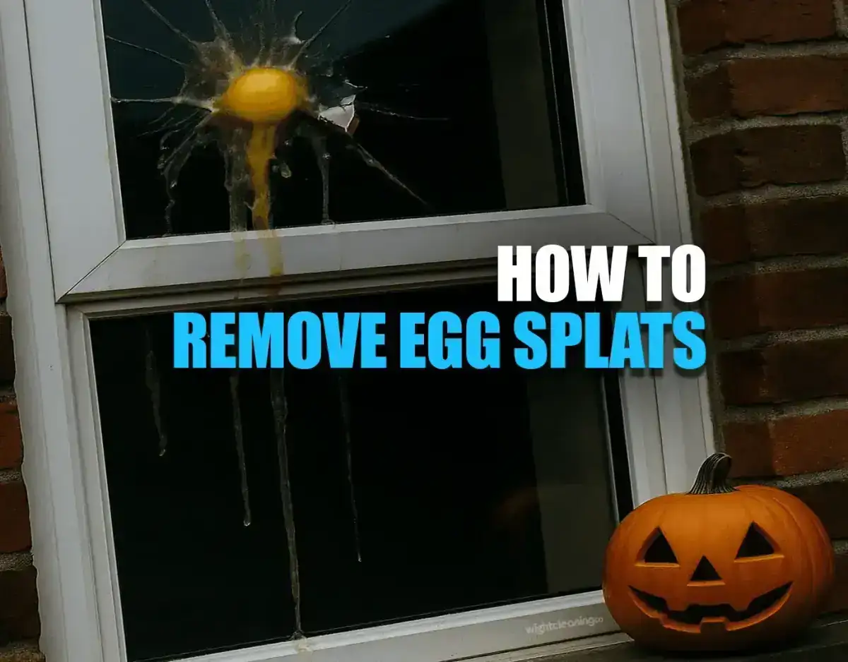 How to Remove Egg Splatters from Your Home This Halloween