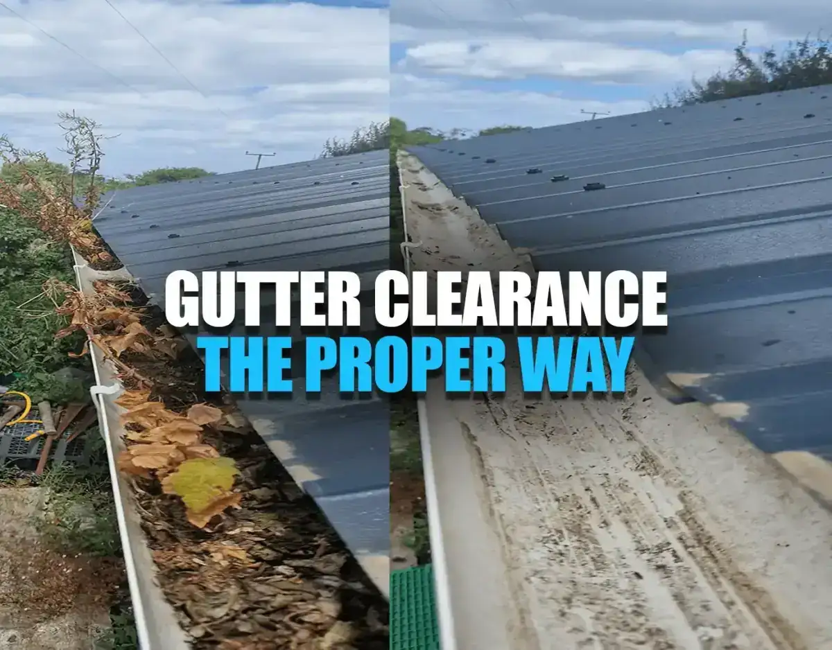 How We Tackle Clearing Gutters - From Vac to Ladders